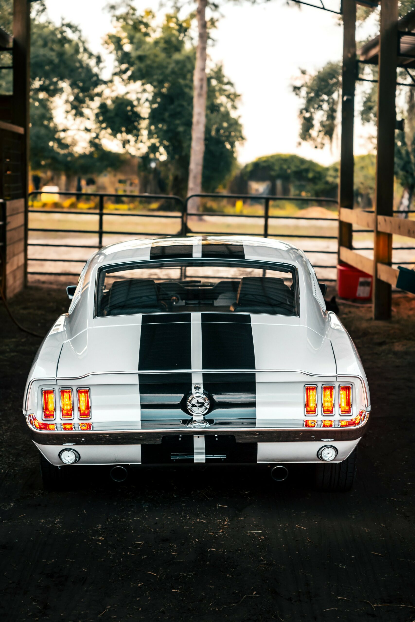 «Привид 1967 року» – це Мустанг, не схожий ні на що інше