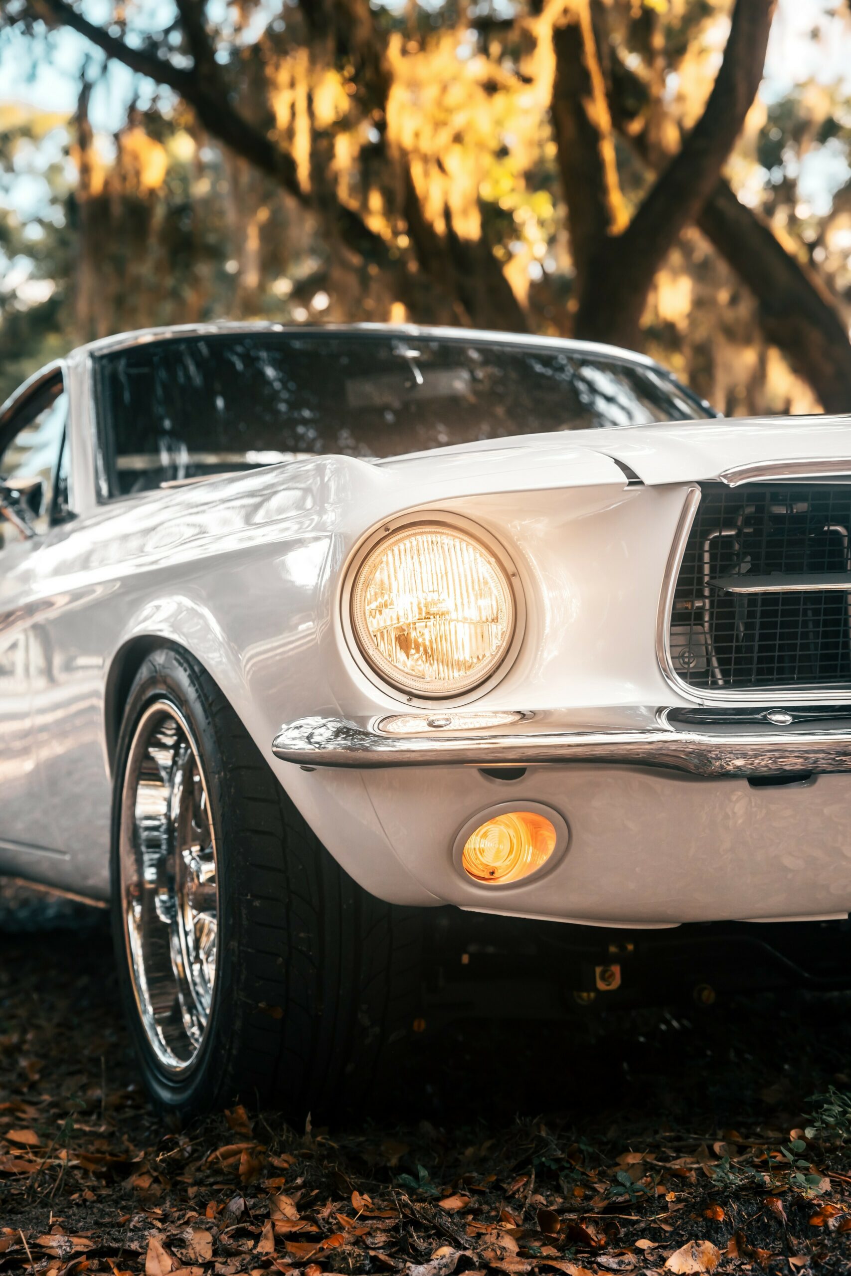 «Привид 1967 року» – це Мустанг, не схожий ні на що інше