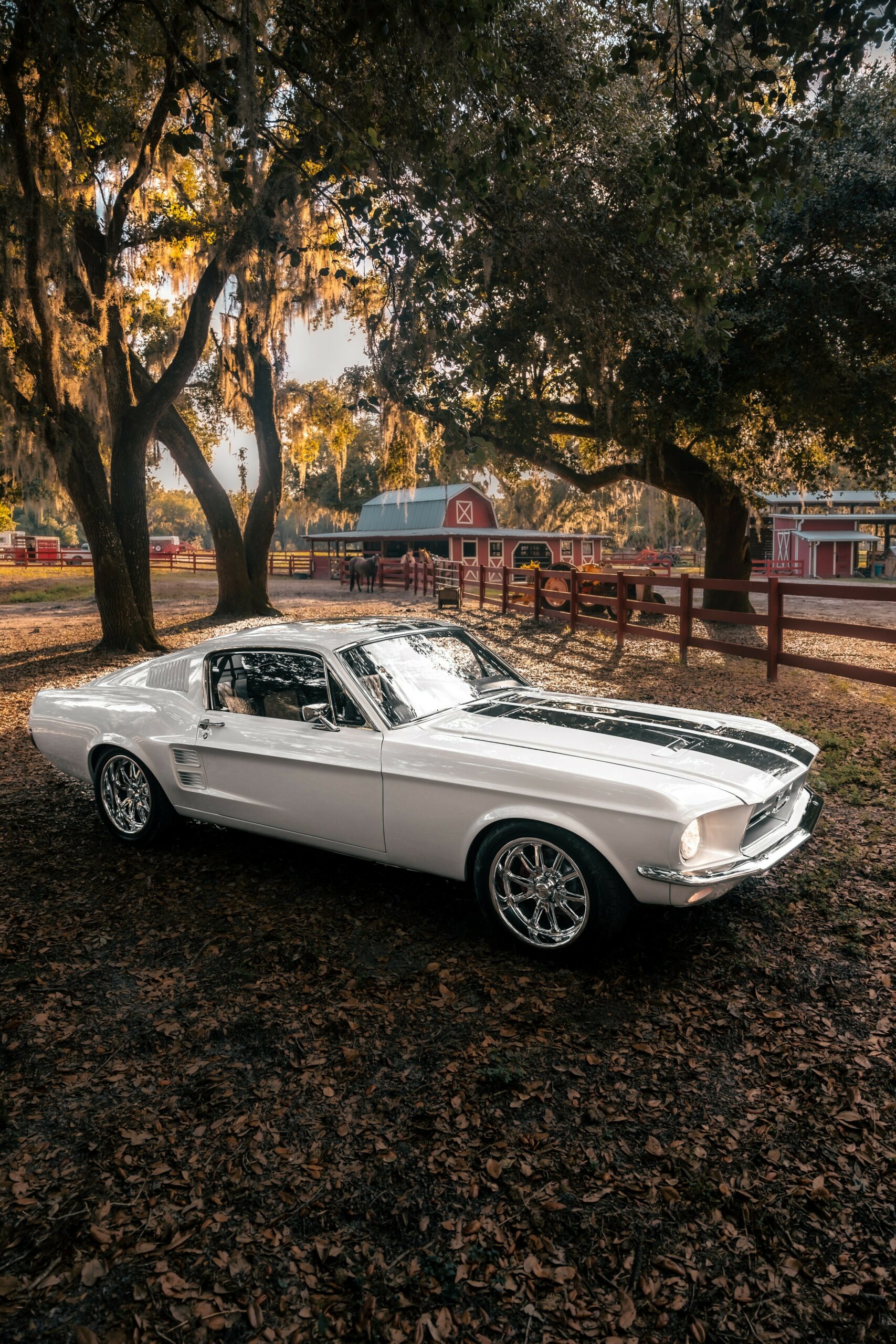 «Привид 1967 року» – це Мустанг, не схожий ні на що інше