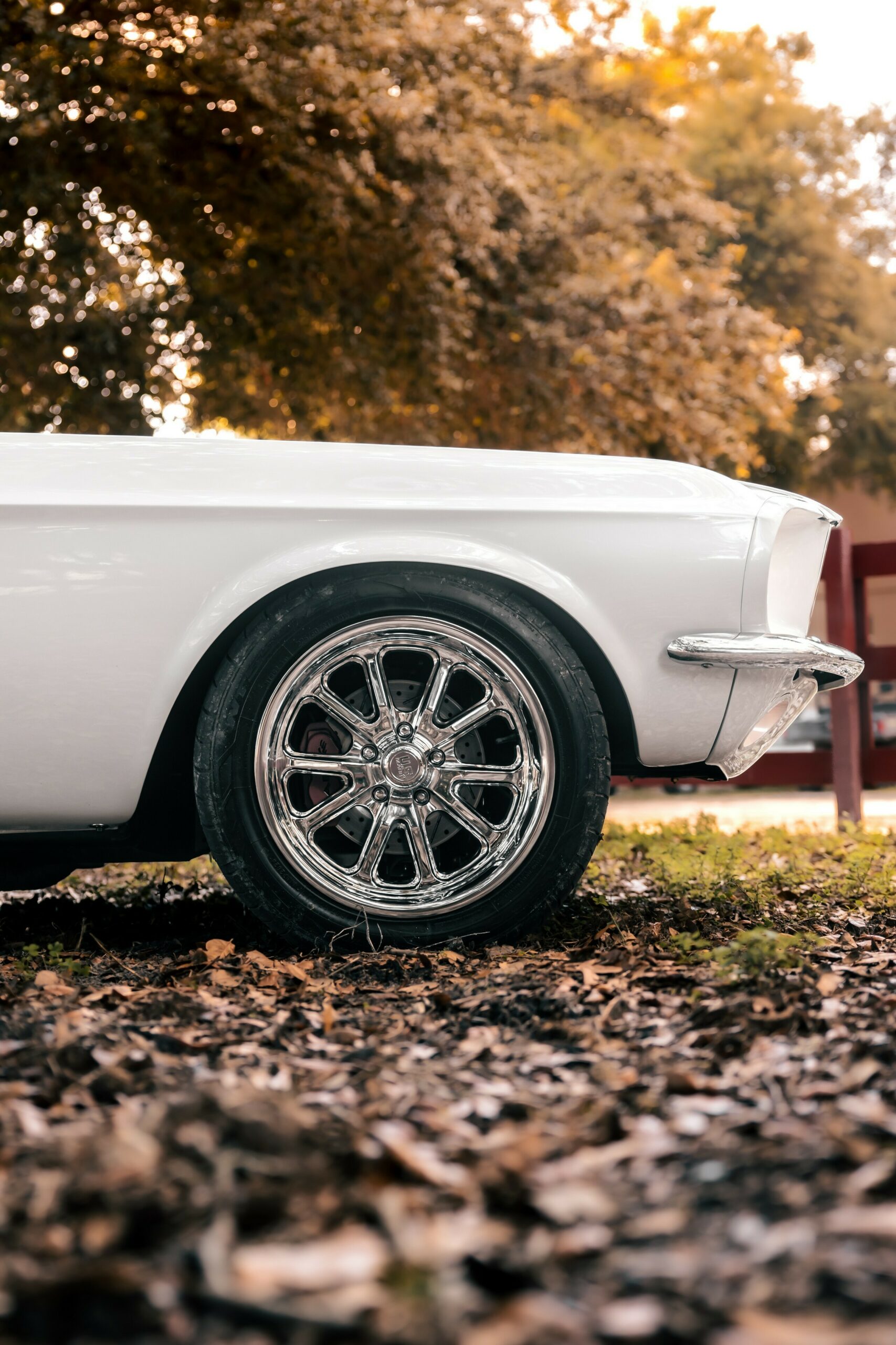 «Привид 1967 року» – це Мустанг, не схожий ні на що інше