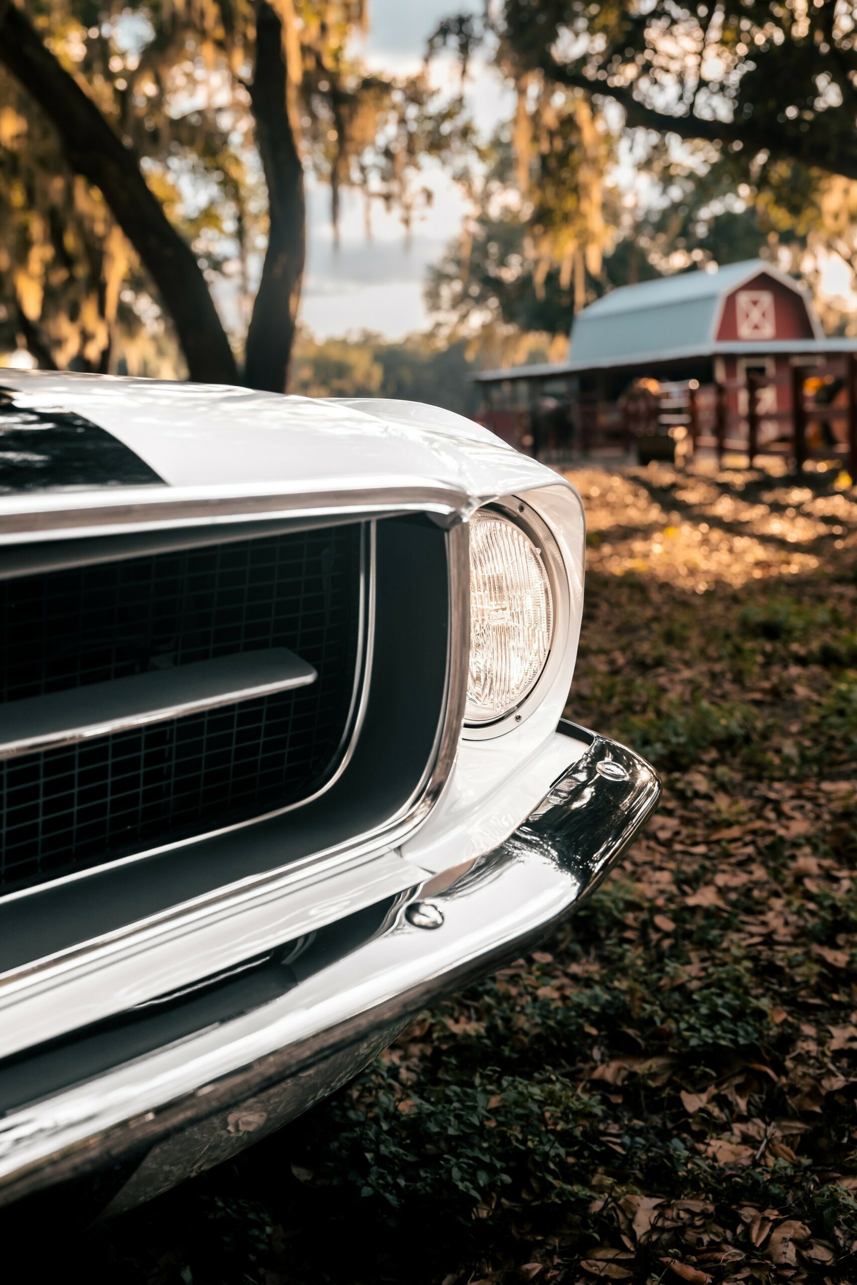 «Привид 1967 року» – це Мустанг, не схожий ні на що інше