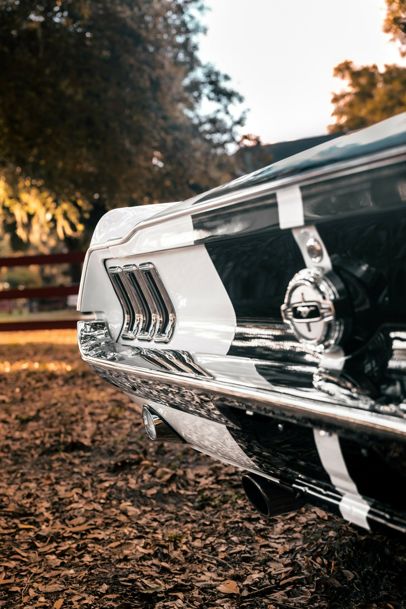 «Привид 1967 року» – це Мустанг, не схожий ні на що інше