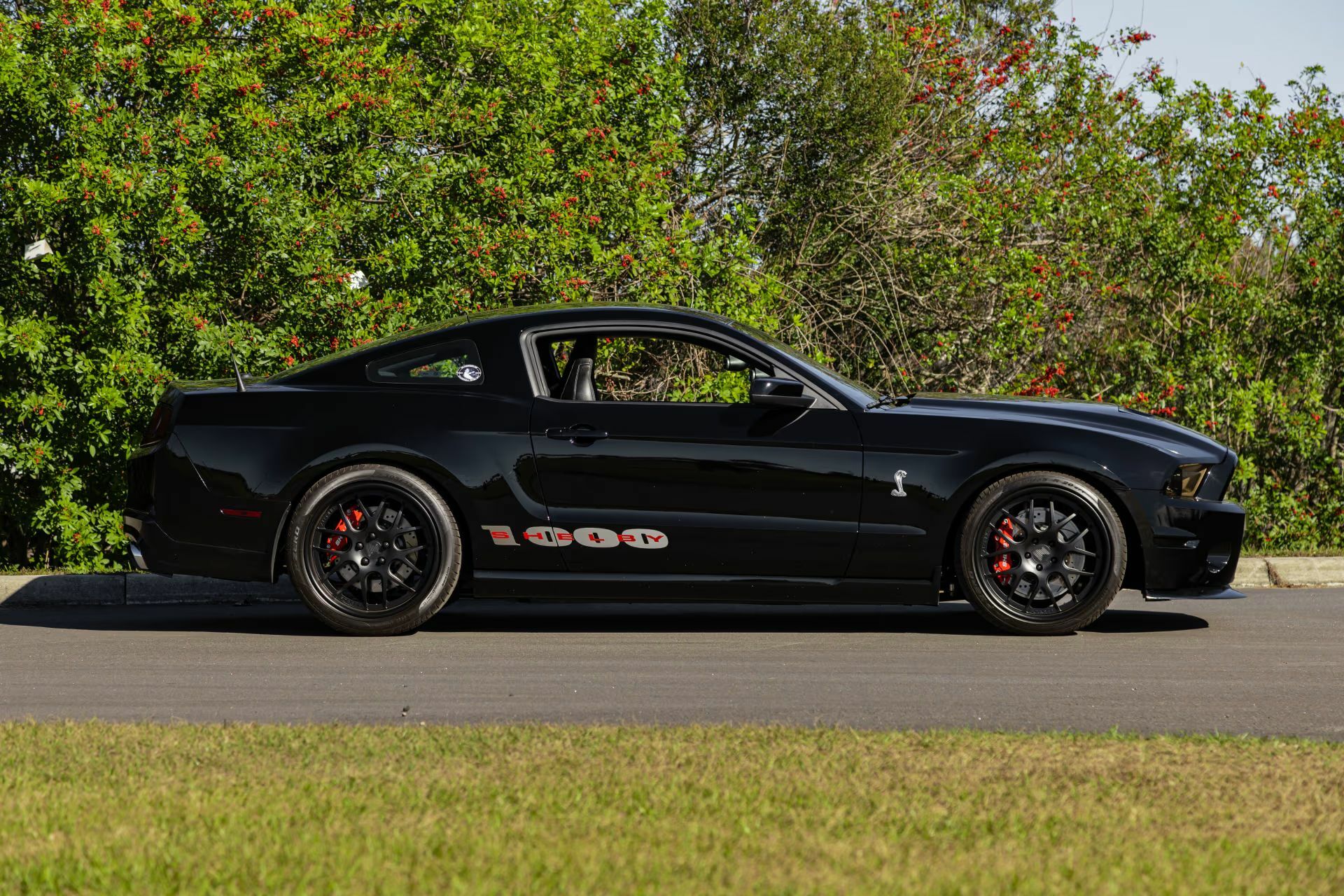 Цей Мустанг має більше потужності, ніж ваша страховка коли-небудь зможе витримати