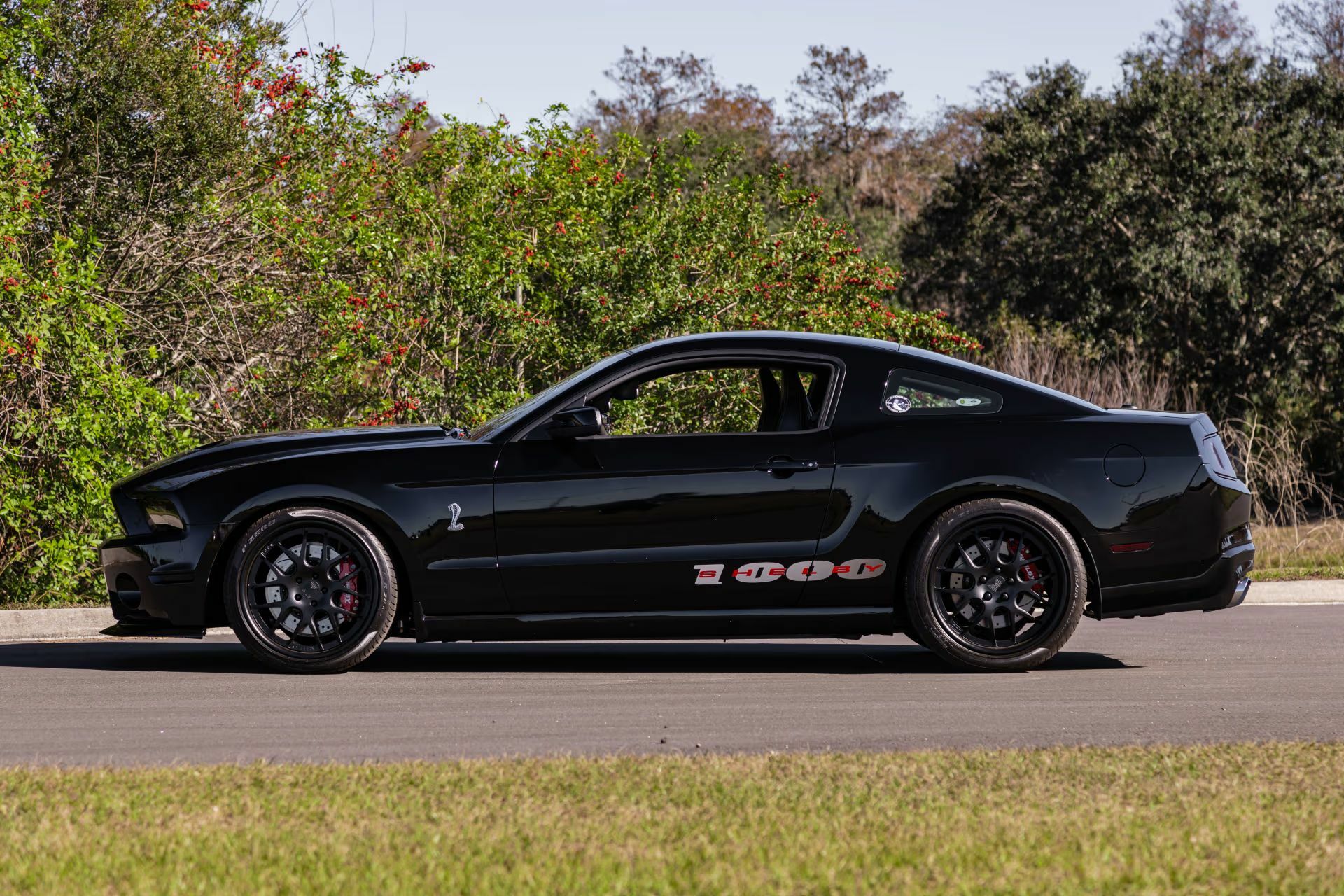 Цей Мустанг має більше потужності, ніж ваша страховка коли-небудь зможе витримати