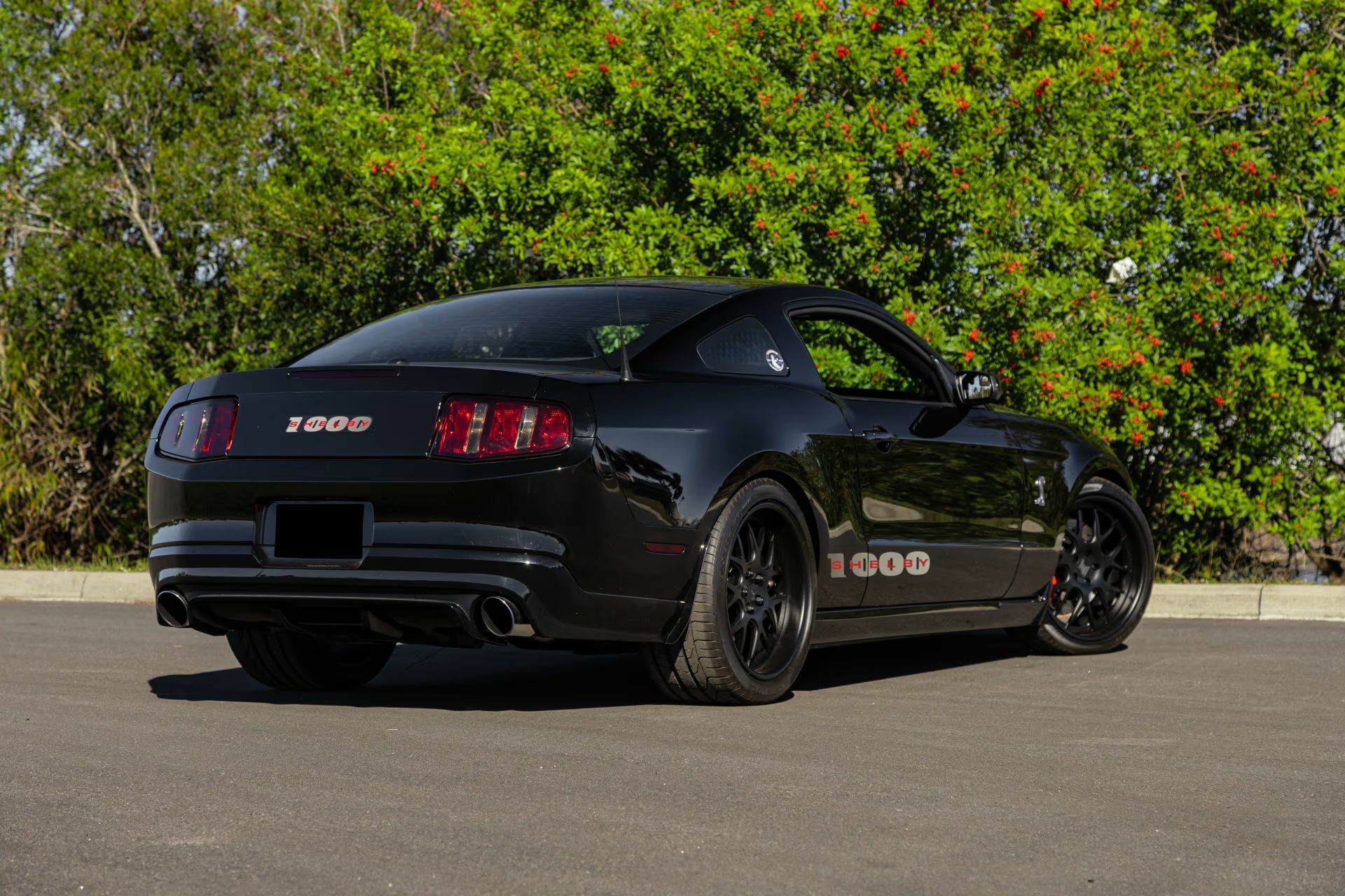 Цей Мустанг має більше потужності, ніж ваша страховка коли-небудь зможе витримати