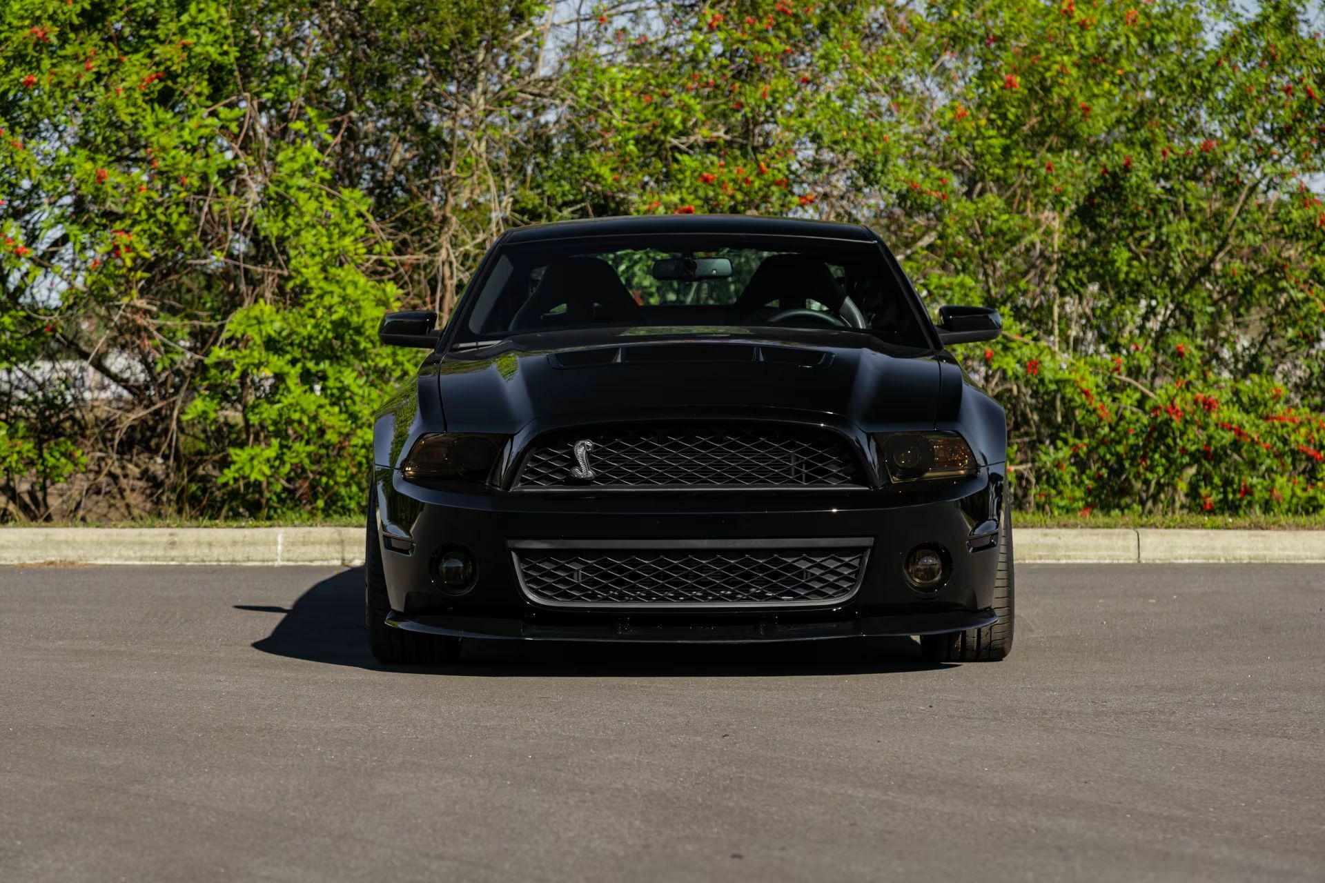 Цей Мустанг має більше потужності, ніж ваша страховка коли-небудь зможе витримати