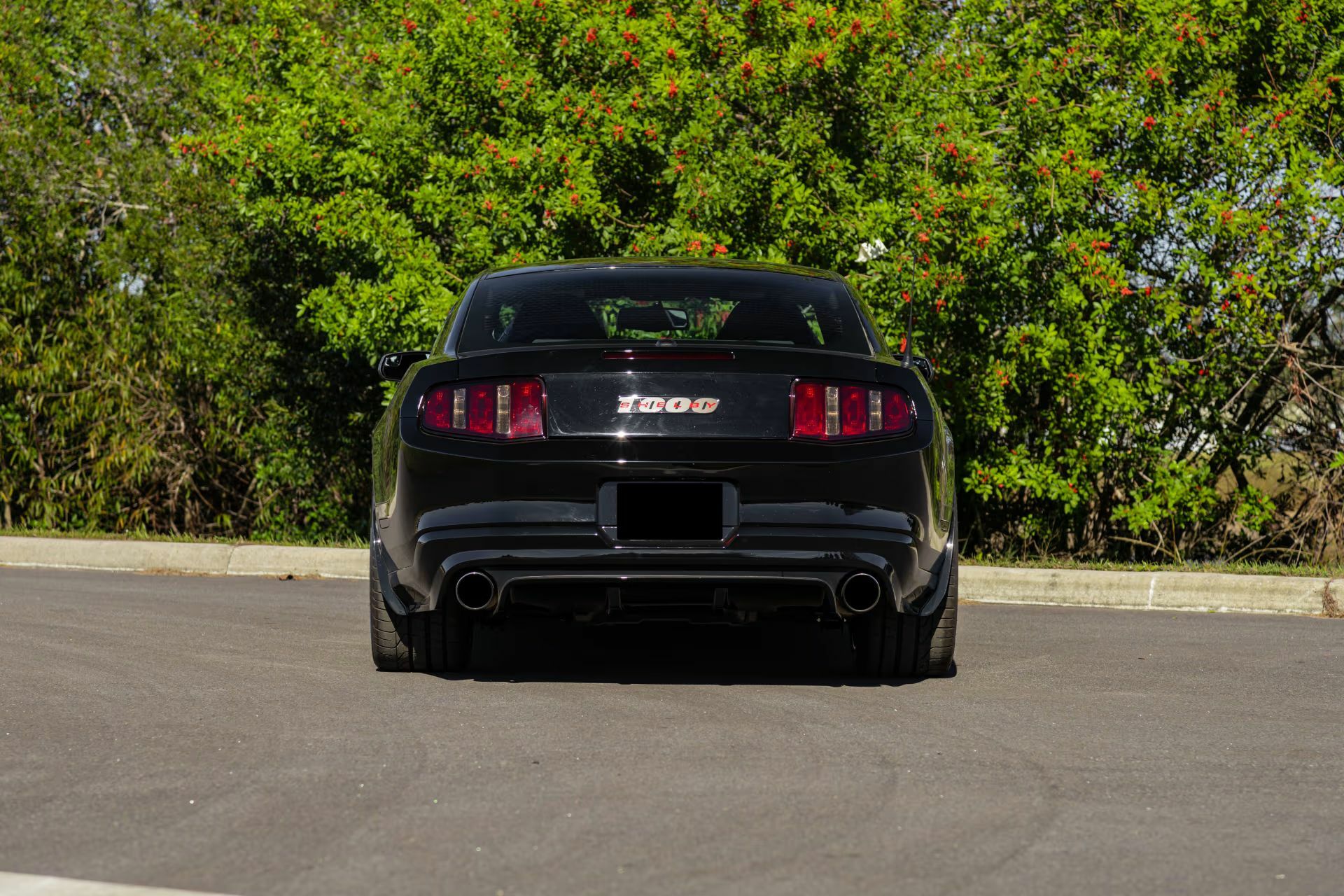 Цей Мустанг має більше потужності, ніж ваша страховка коли-небудь зможе витримати