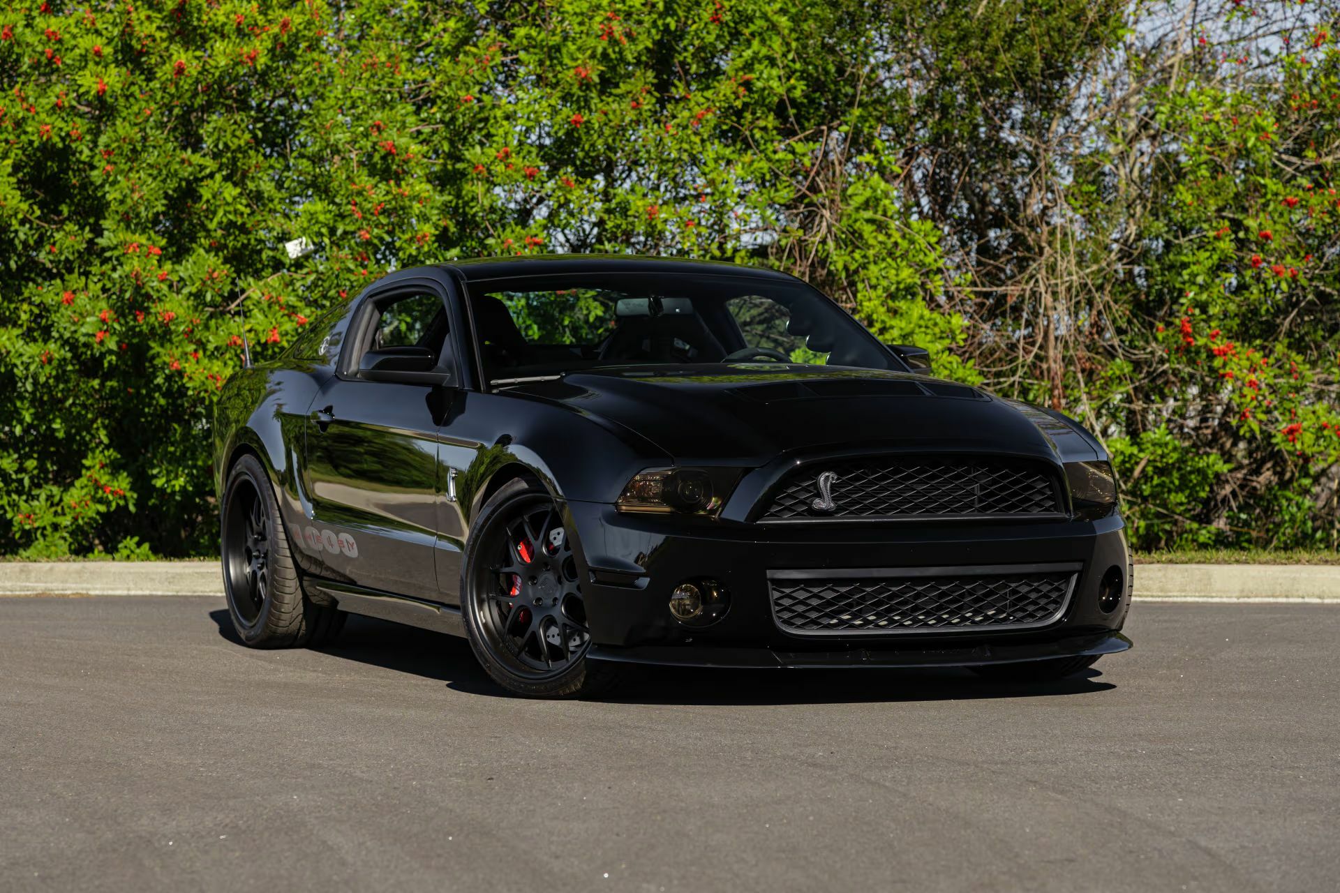 Цей Мустанг має більше потужності, ніж ваша страховка коли-небудь зможе витримати