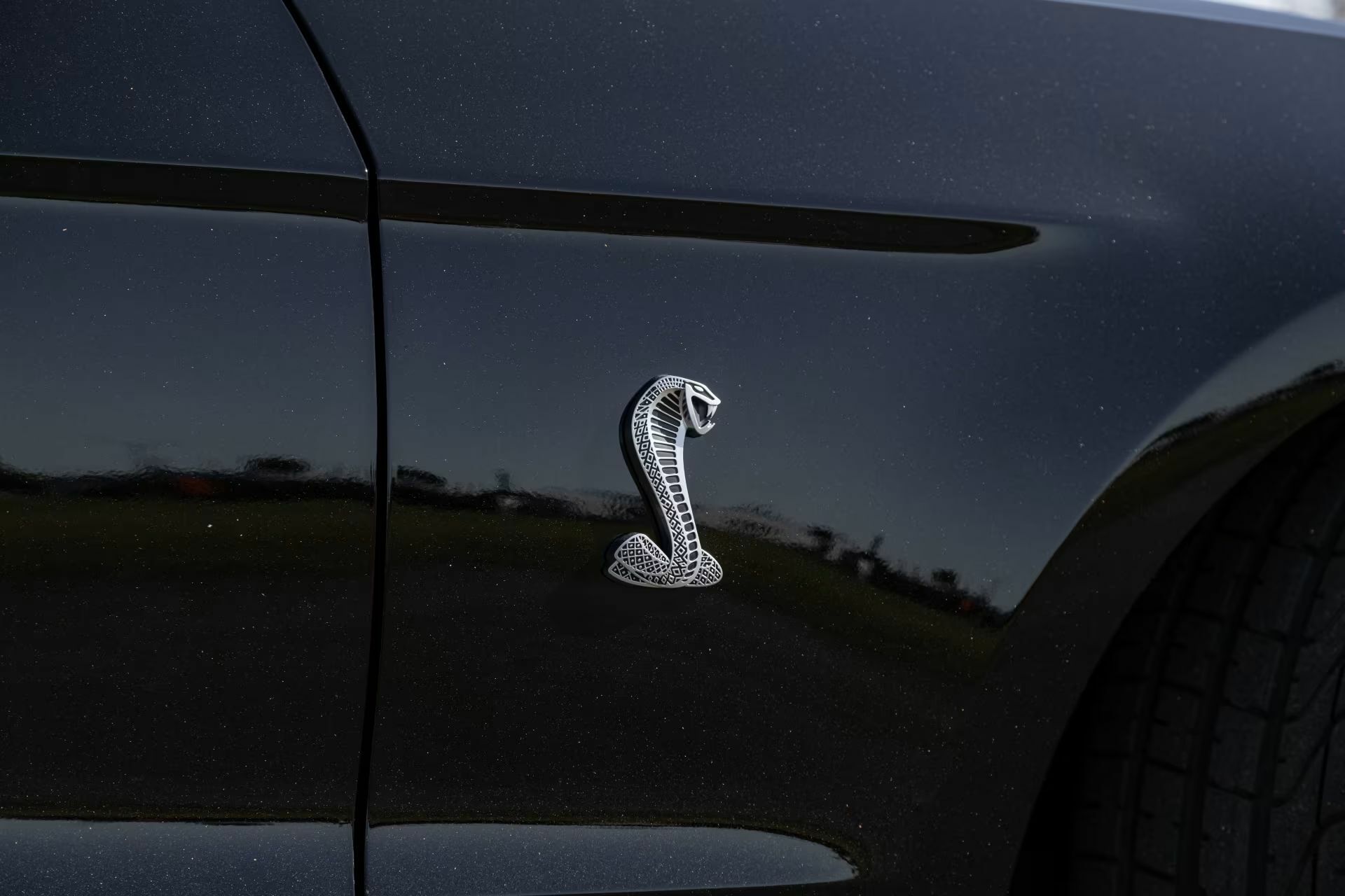 Цей Мустанг має більше потужності, ніж ваша страховка коли-небудь зможе витримати