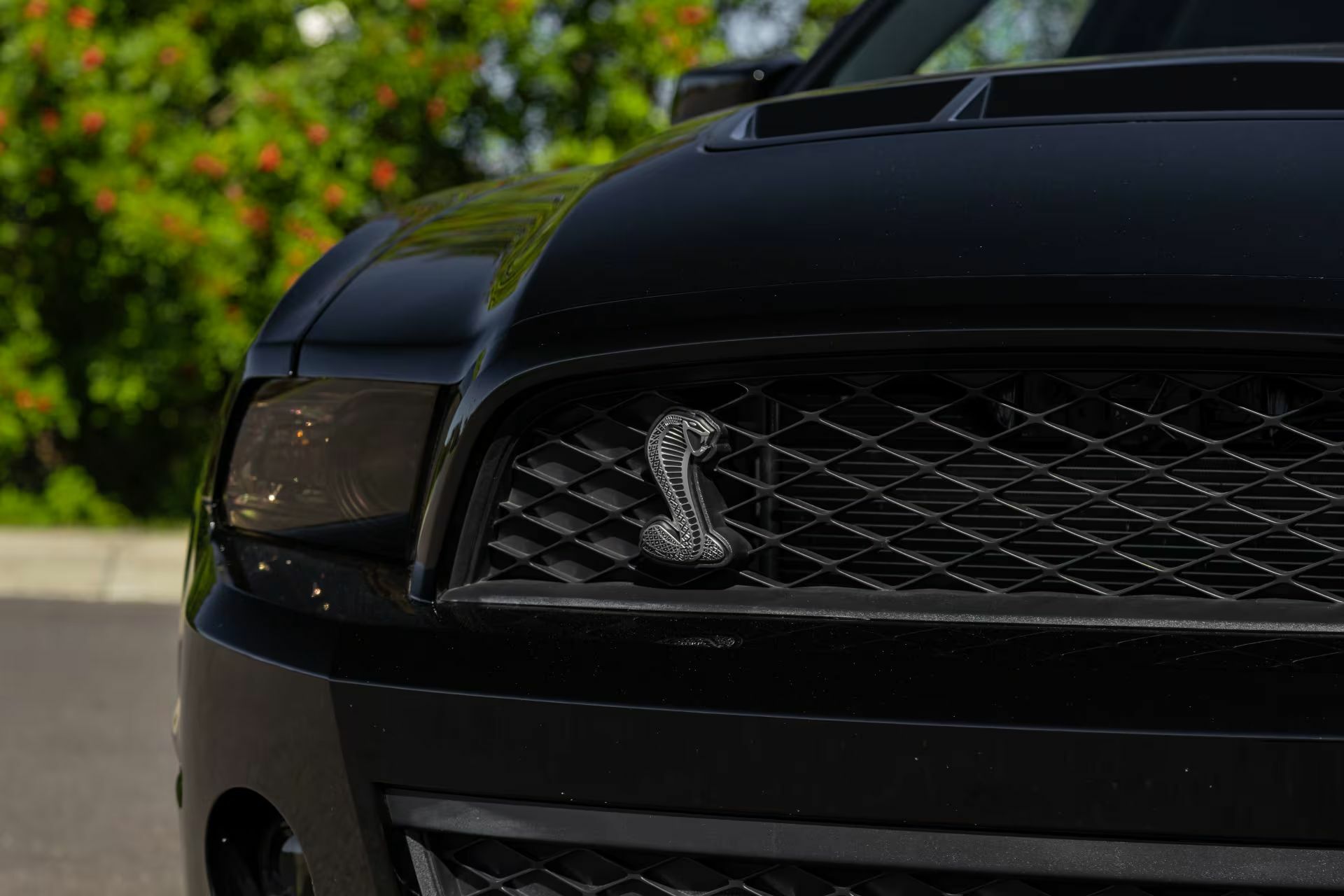 Цей Мустанг має більше потужності, ніж ваша страховка коли-небудь зможе витримати