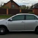 Як ефективно усунути іржаві відколи на капоті та дверцятах.