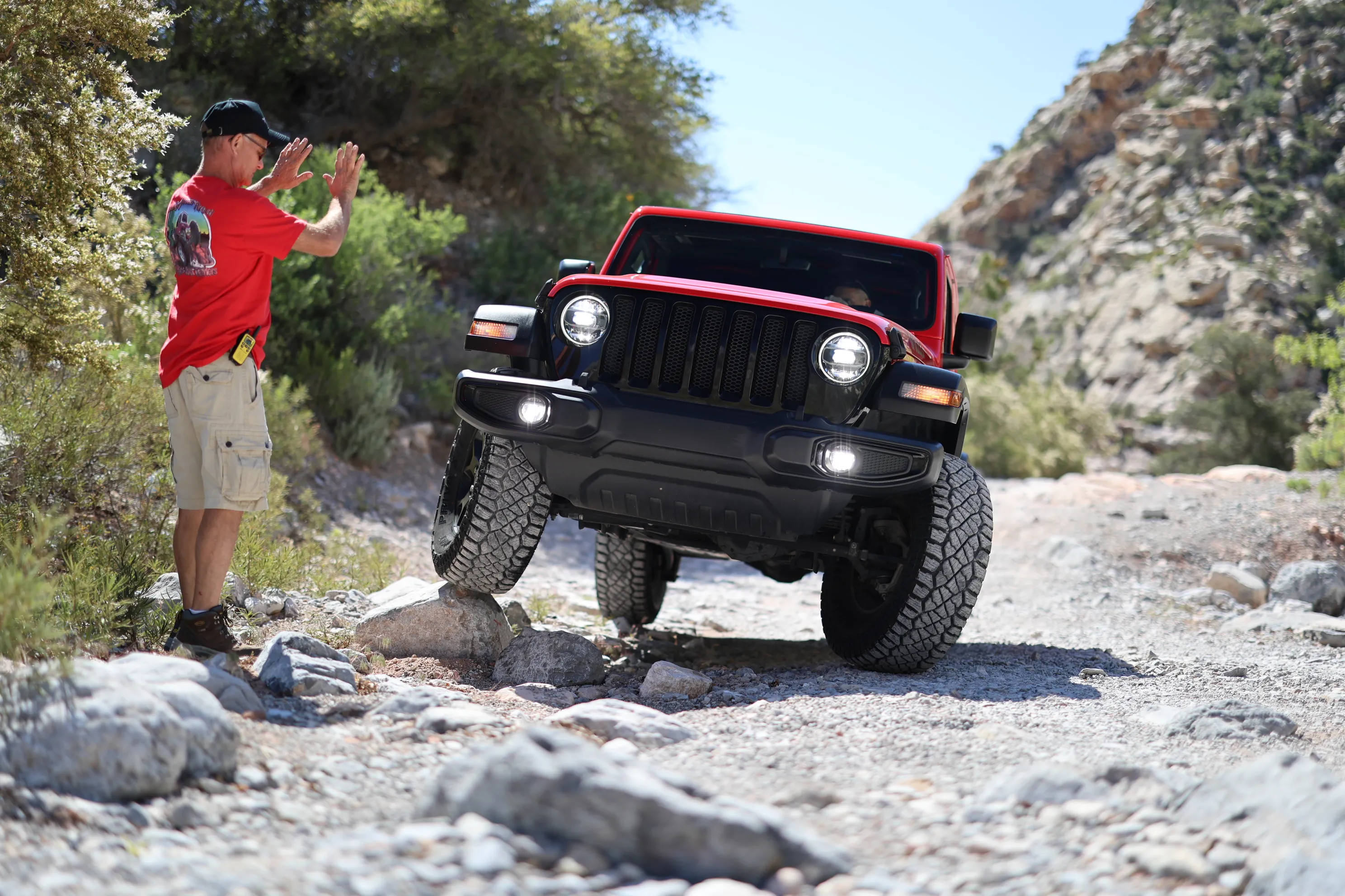 Leao Lion Climber tires posing on a rock.
