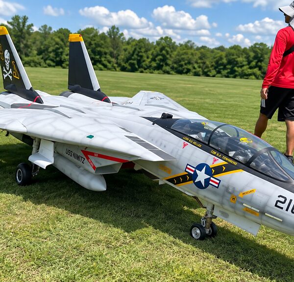 П’ять літаків F-14 Tomcat: від мініатюрного EDF до монстра з двома турбінами