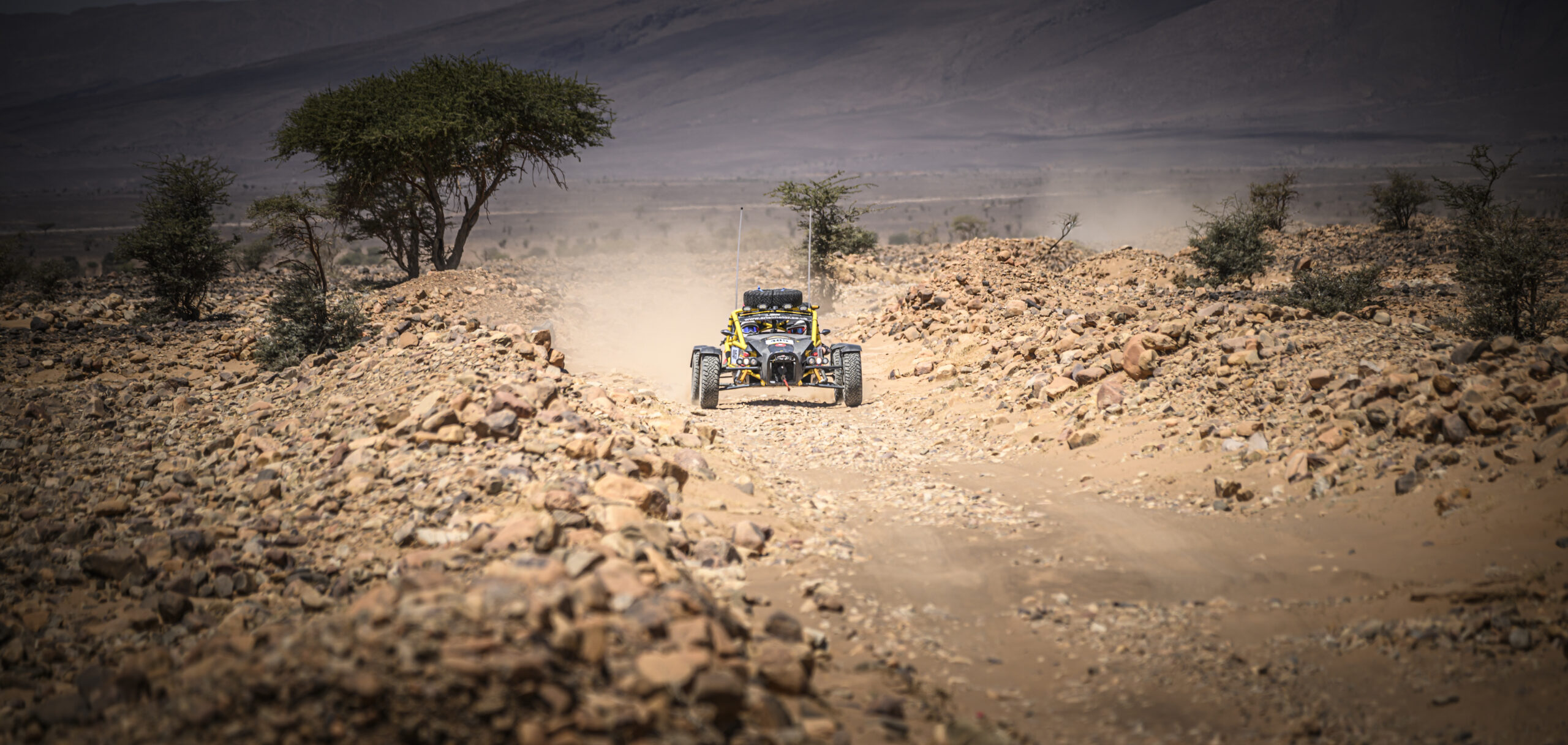 Модернізований Ariel Nomad