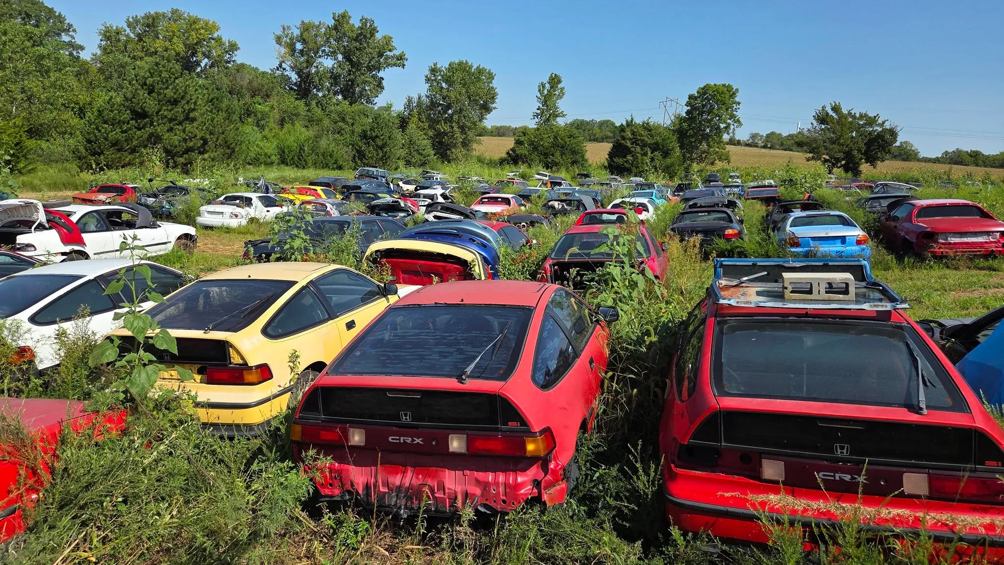 Honda на продаж на фермі Джеремаї Фрімена