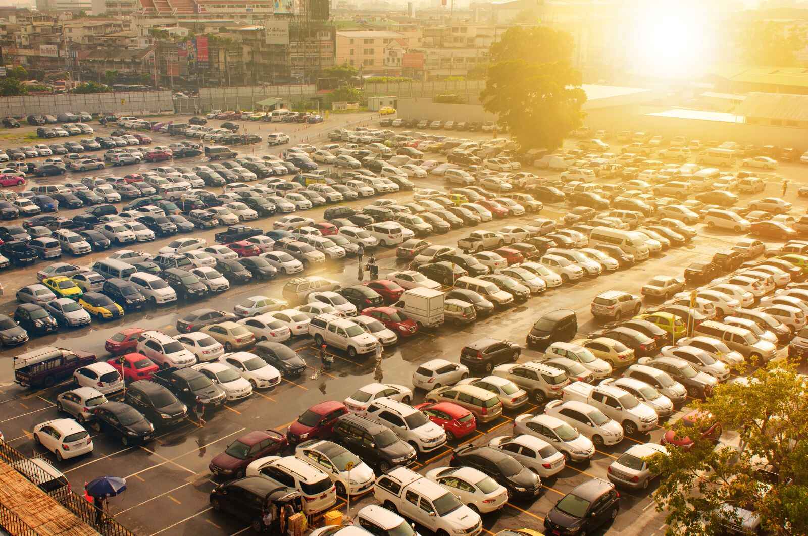 Cars parked in a packed impound lot