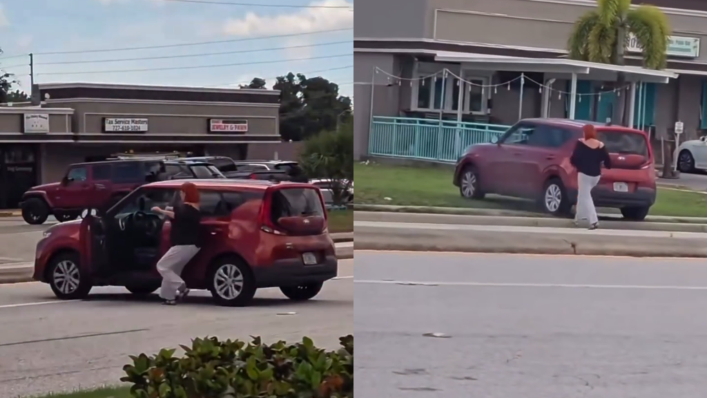 Florida Woman Chases Her Own Slow-Rolling Car Into a Ditch–and a Squirrel Is To Blame