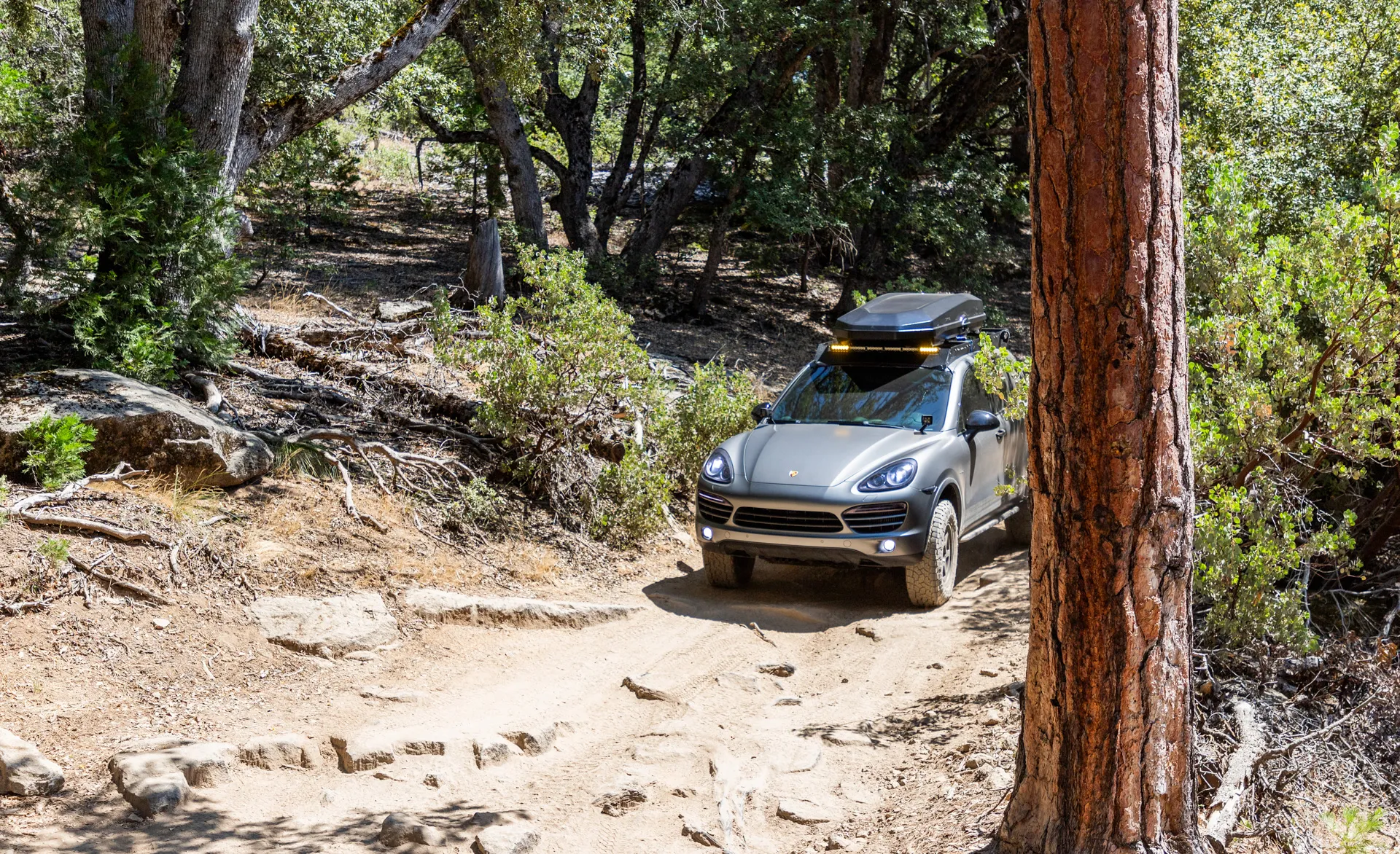 Porsche Cayenne Safari