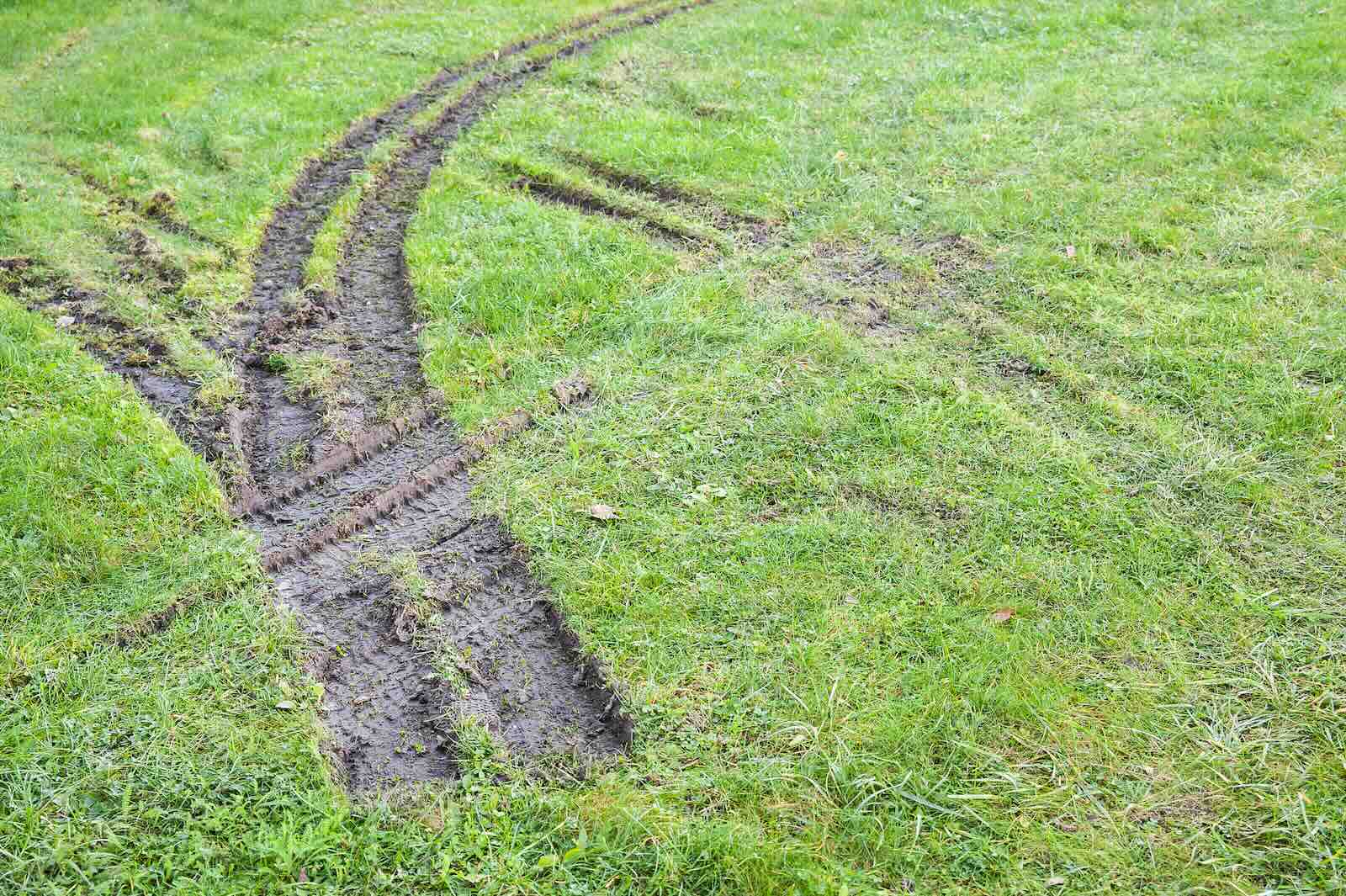 Tracks on golf course | dies-irae